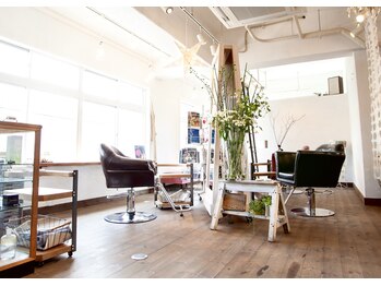 ark sanctuary Shu-shu hair design