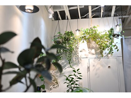 カット専門店Neutral桜台店の写真