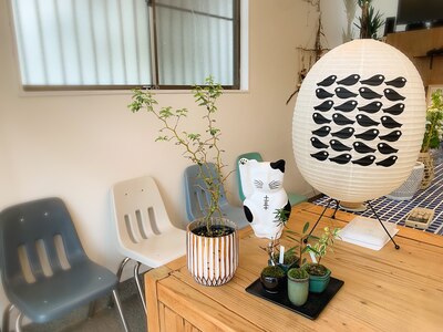 店内は植物多めです。