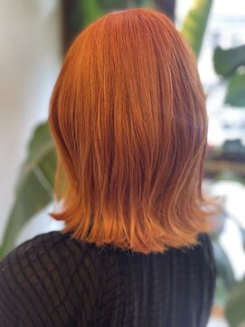 ダブル(W) apricot orange