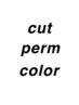 ☆平日限定☆CUT+パーマ+カラー