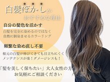 アンカーウェリナ(ANCHOR welina)の雰囲気（髪を美しくきれいに保ちたい方へ「白髪ぼかし」お任せください！）