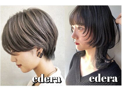 エデラ グランディ オーソ(edera Grandi-oso)の写真