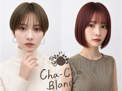 チャチャブラン(cha-cha Blanc)の写真