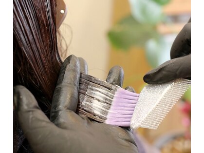 ボンボン(Bonbon)の写真