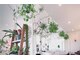ビューティフルガーデンズ(Beautiful Gardens)の写真