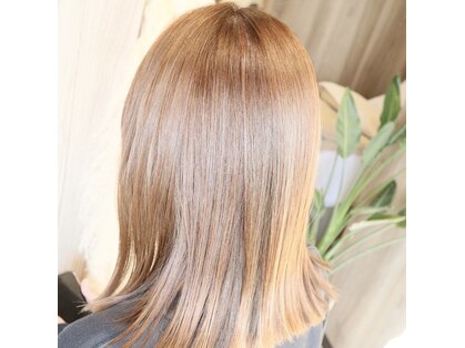タルテ(talute)の写真