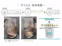 すべてをリセット「DETOSURU ~デトスル~」