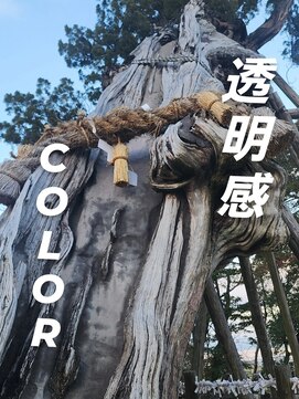 シャルシェ(Chercher) 透明感COLOR