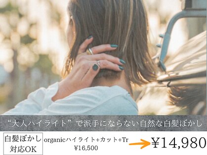 リットバイディア 茅ヶ崎(Lit by diar)の写真