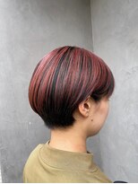 エルラド(LRAD) アンブレラカラー