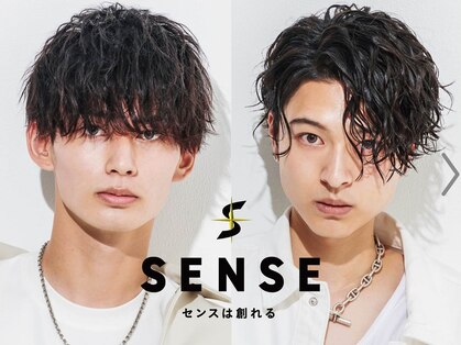メンズヘアセンス 渋谷(MEN'S HAIR SENSE)の写真