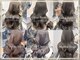 ミラ 新宿(MILA)の写真