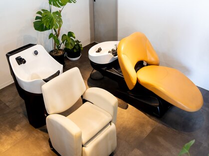 ガガ ディ アッシュ(GAGA D Ash)の写真