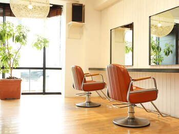 ｓｈｉｎｅ【シャイン】