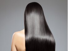 スプルース(spruce)