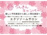 初回限定【髪活肌育】純国産トリプルエクソソーム・ケアシャンプーブロー付