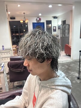 ステディー(Steady) ホワイトウルフカット