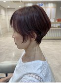 30代40代50ハンサムショート レッドブラウン 細毛ボリュームUP