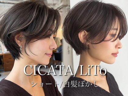 シカタリト 鎌倉(CICATA LiTo)の写真
