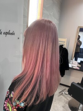 リベルター(Libertad) ダブルカラー