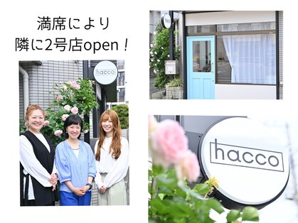 ハッコ(hacco)の写真
