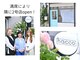 ハッコ(hacco)の写真