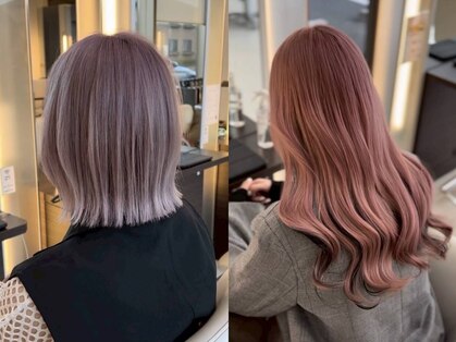 ブルーテーフ(Bleu Terre)の写真