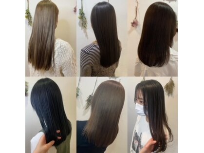 アクシス(AXIS)の写真