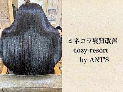 コージー リゾート バイ アンツ 茅ヶ崎駅前店(cozy resort by ANT'S)の写真