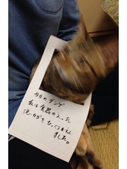 ヘアーメイク ナユタ(hair make nayuta)の写真/1人サロンでゆっくりやってます。