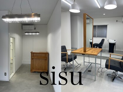 シス(sisu)の写真