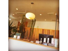 エヌプランツ 和泉中央店(N-plants)の雰囲気（お店を入って頂くと受付になります。）