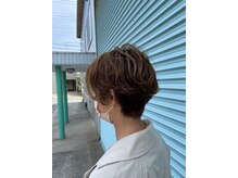 ミモザ(Mimosa)