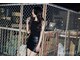ウィークエンド(WeekenD)の写真