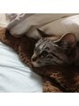 コトナ ヘアアンドリラックス 草加店(kotona Hair & relax) 猫を飼っていますが、昆虫以外はなんでも大好きです！