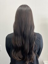 ルピナス(Lupinus) ブルージュカラー