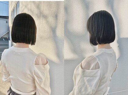 ルシアス(Lucius)の写真