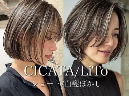 シカタリト 鎌倉(CICATA LiTo)の写真