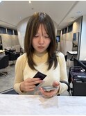 ロングレイヤー/レイヤー