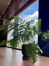 gokanの美容の枠を越えたコダワリ