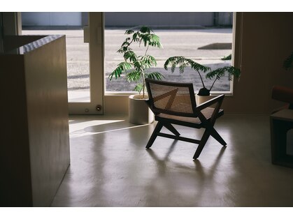 セン(sen)の写真