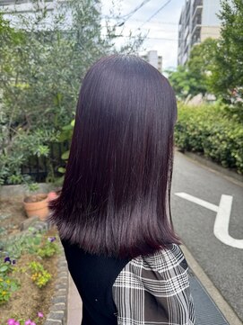 ヨーク(YOKE) ワインレッド