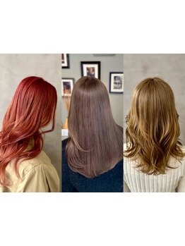 既存のスタイルを凌駕する。ダメージレスなハイトーンが導く、あなただけの特別なデザインカラーを。