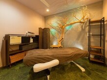 ビップルーム(VIPルーム)の雰囲気（女性限定エステメニューもございます。）