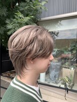 ニュースタイルアイラ (NewStyle aila) プラチナカラー