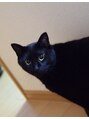 ミネット(Minette) ハル