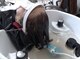 ビューティサロン オオタニの写真/炭酸濃度1000ppm使用した炭酸ヘッドスパで、様々な頭皮トの問題を改善。ハリ、コシのある健康な髪へ。