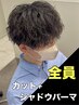 【夏井指名限定】メンズカット+シャドウパーマ ￥15000