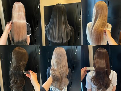 ヒトリシズカの写真